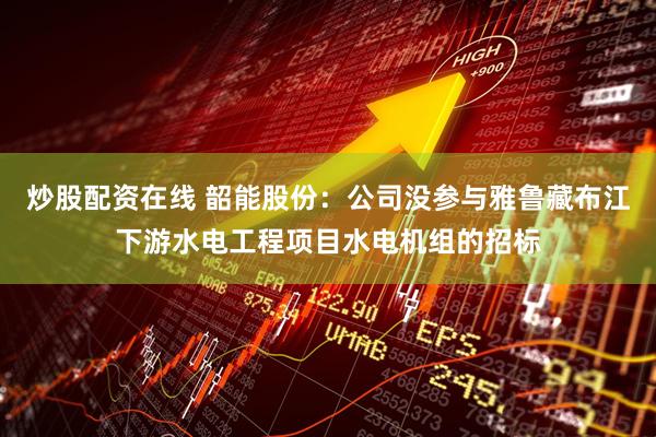炒股配资在线 韶能股份：公司没参与雅鲁藏布江下游水电工程项目水电机组的招标